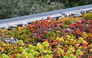 the cost of Rotherfield Greys green roof installation