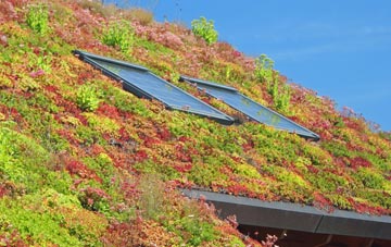 Rotherfield Greys living roof systems