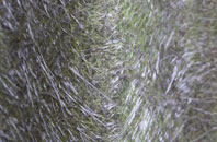 Rotherfield Greys fibreglass roof work